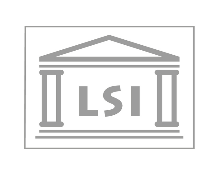 LSI - 87f6f8-f3