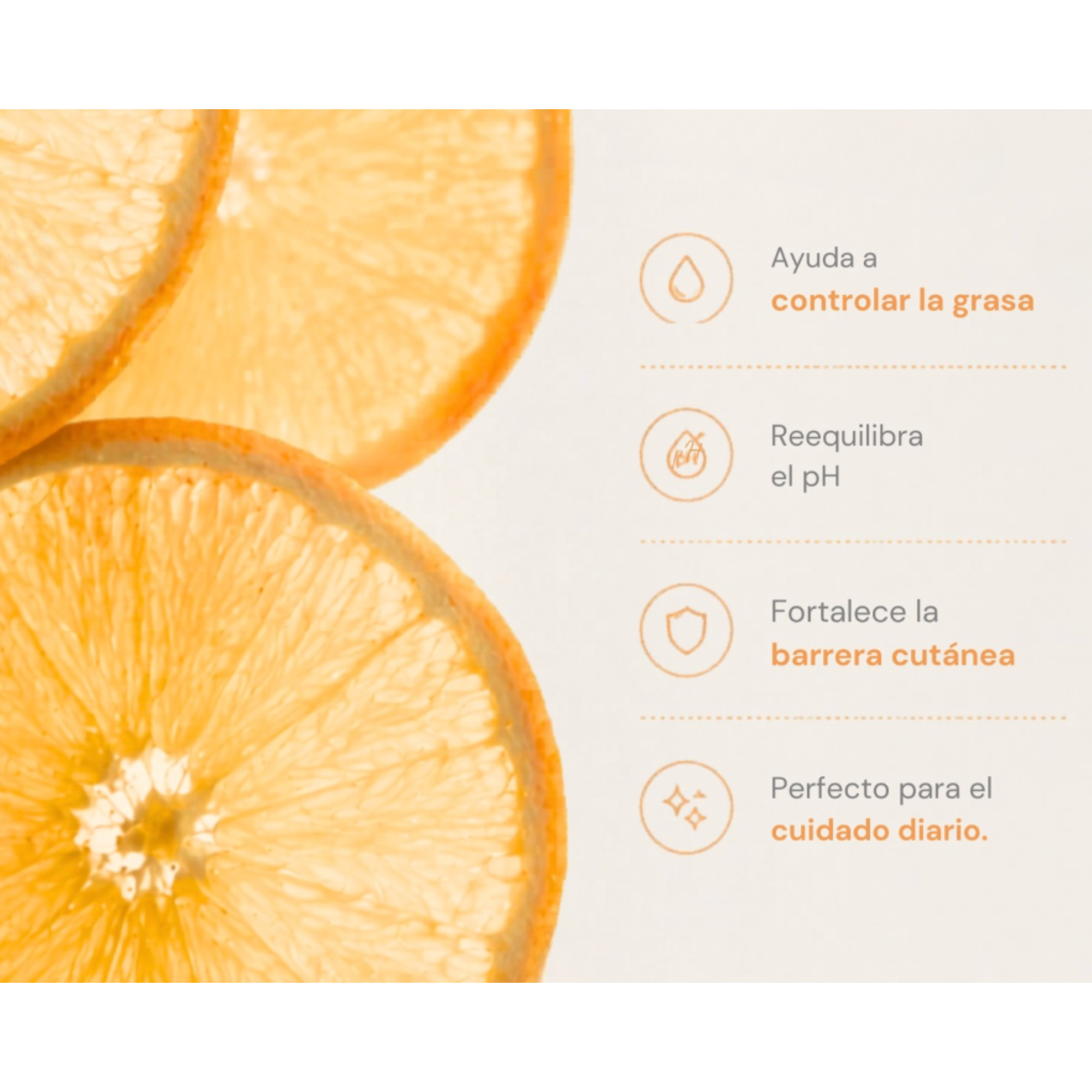 IMAGENES_3_-_2026-06-11T160303.976.png
