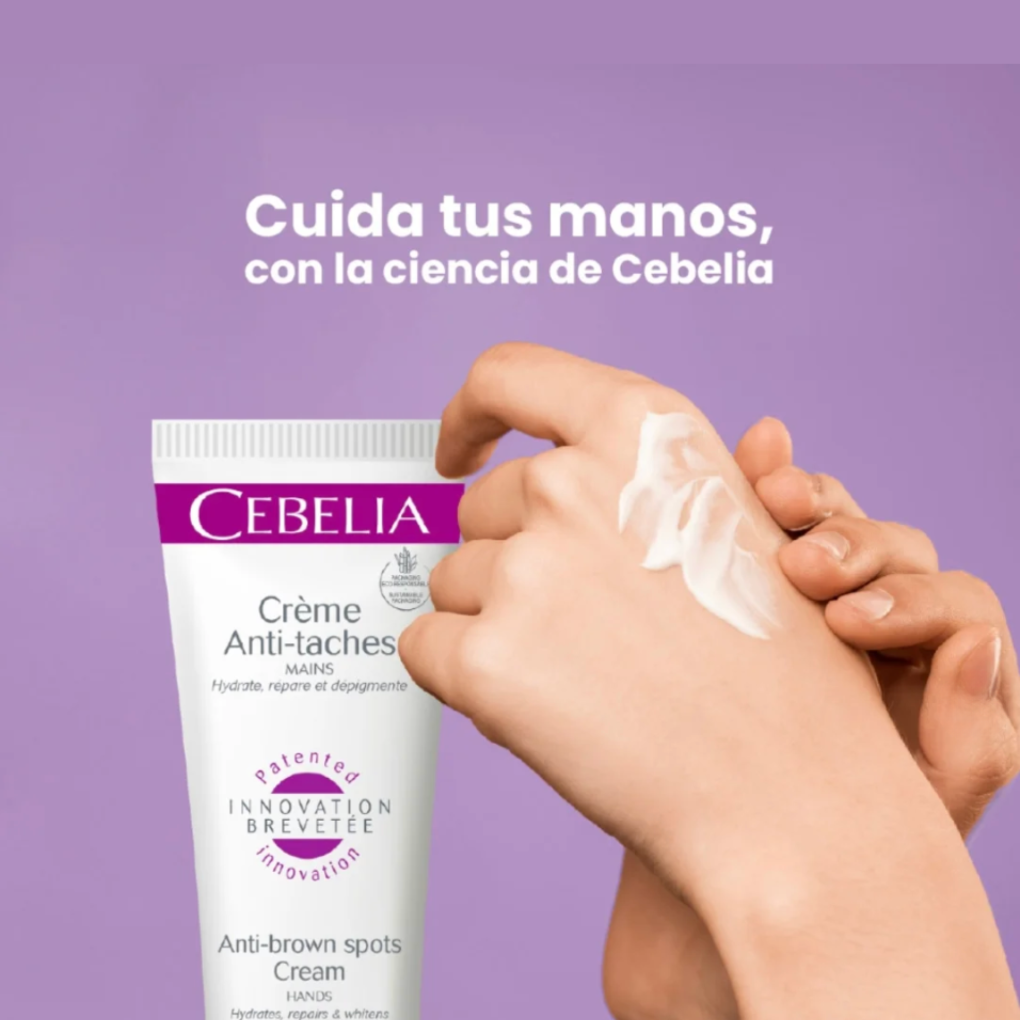 IMAGENES_3_-_2026-06-12T100930.813.png