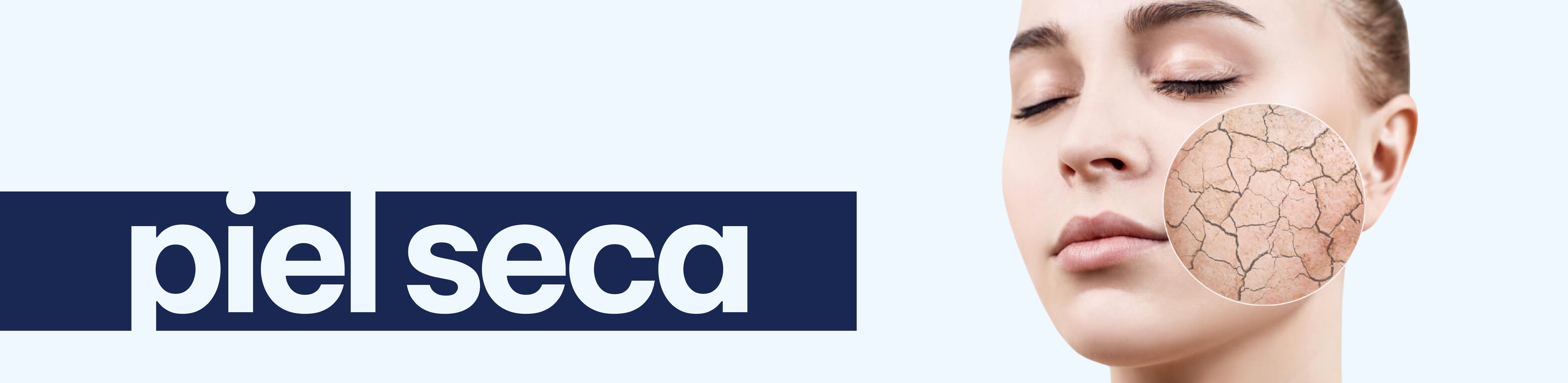 SECA.jpg