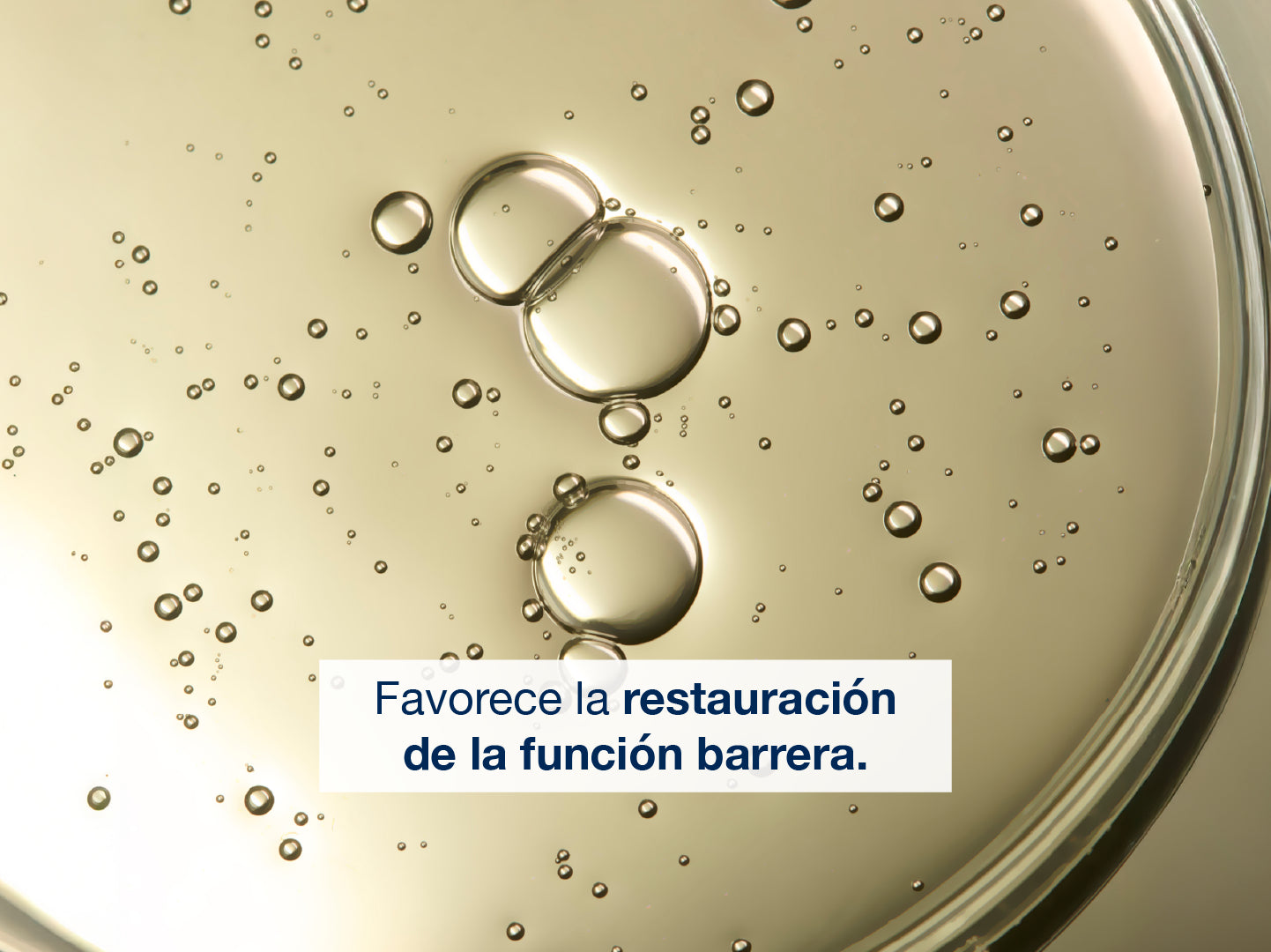 XEROCLATACEITEDUCHA-con-0-con_xerolact-aceite.webp
